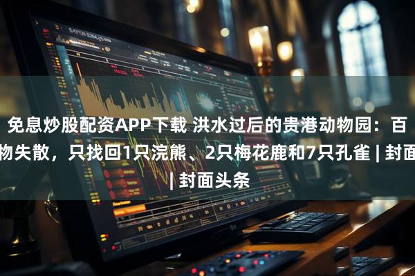 免息炒股配资APP下载 洪水过后的贵港动物园：百只动物失散，只找回1只浣熊、2只梅花鹿和7只孔雀 | 封面头条