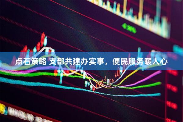 点石策略 支部共建办实事，便民服务暖人心
